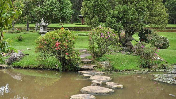 Avenue Nuwara Eliya - image 18
