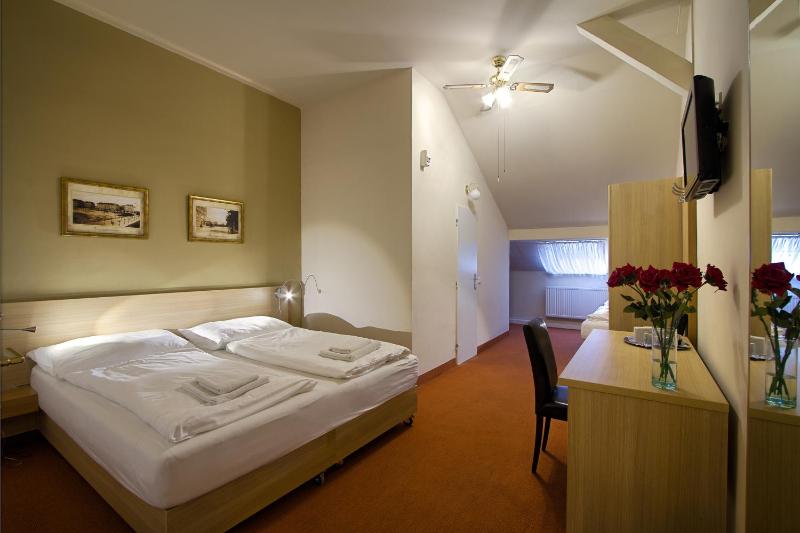 Triple Economy Attic Room image 4