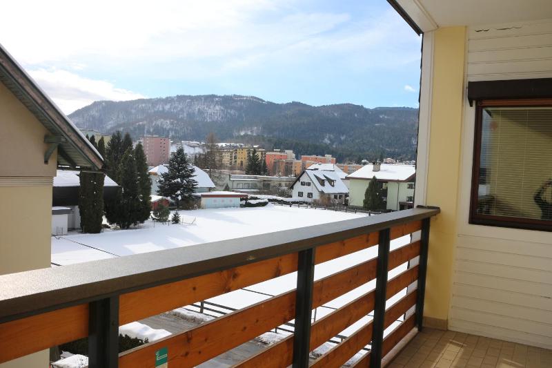 One-Bedroom Apartment with Mountain View image 4