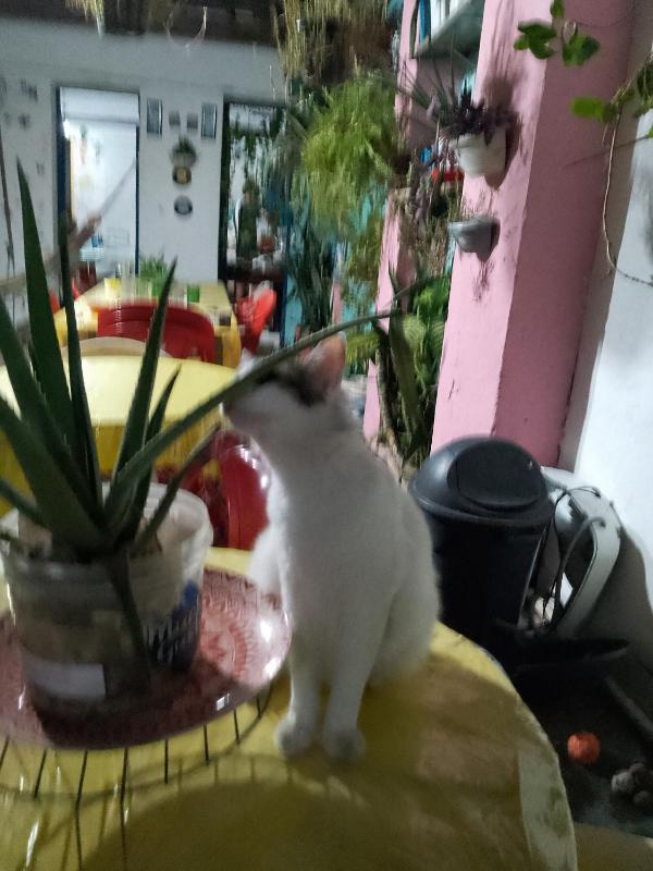 Hostel Torre Bahia - image 3