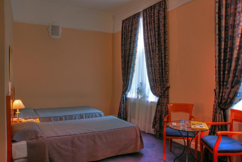 Double or Twin Room image 3