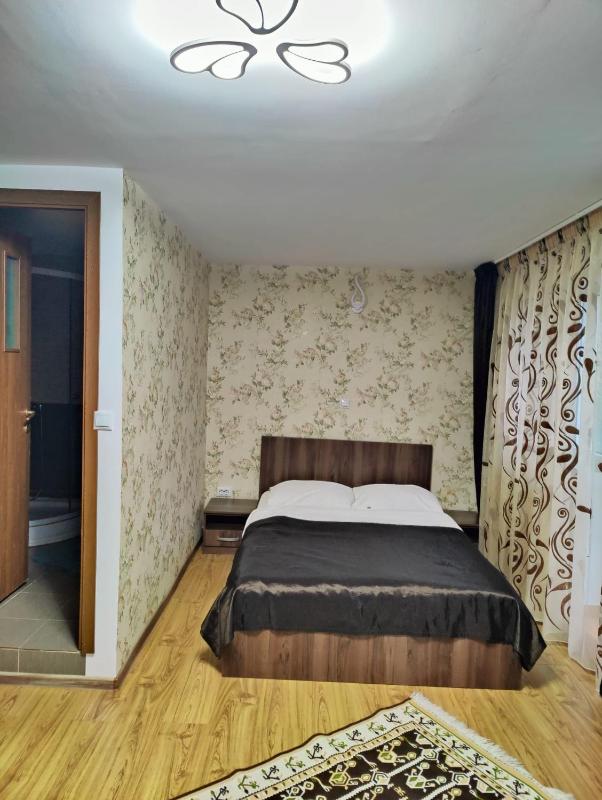 Double Room with Mountain View image 4