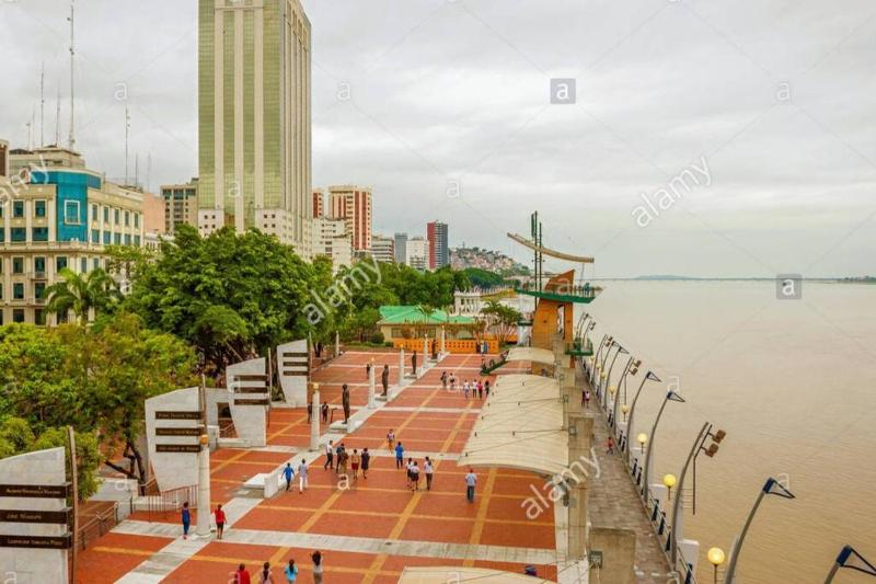Remodeled Downtown Apartment - Centro de Guayaquil - image 3