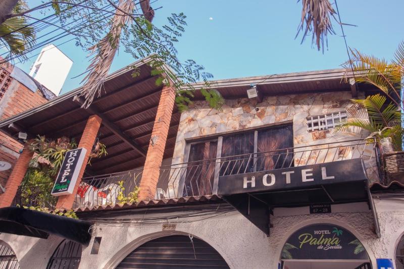 Hotel Palma De Sevilla Medellin - image 13