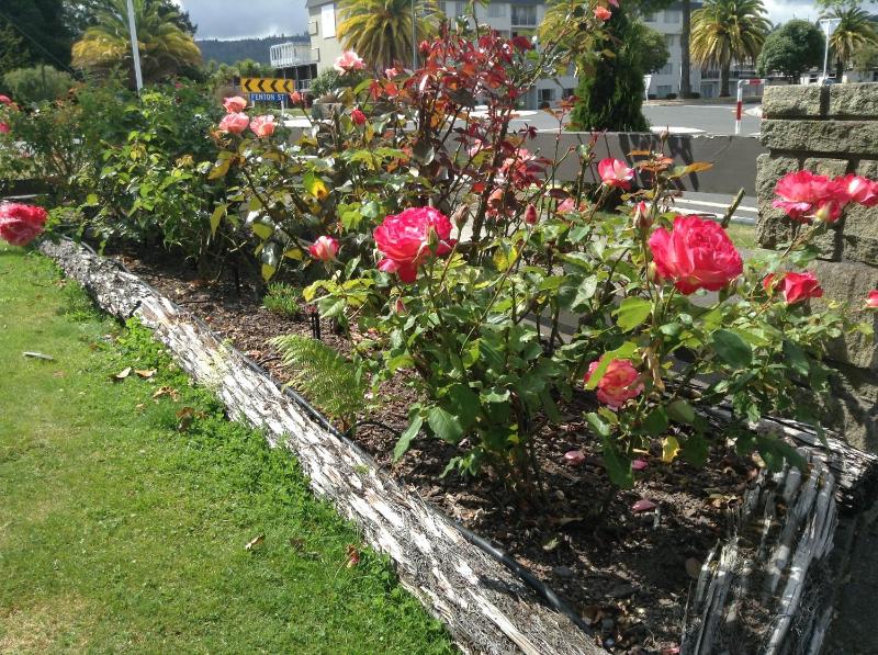 Rose Court Motel - image 26