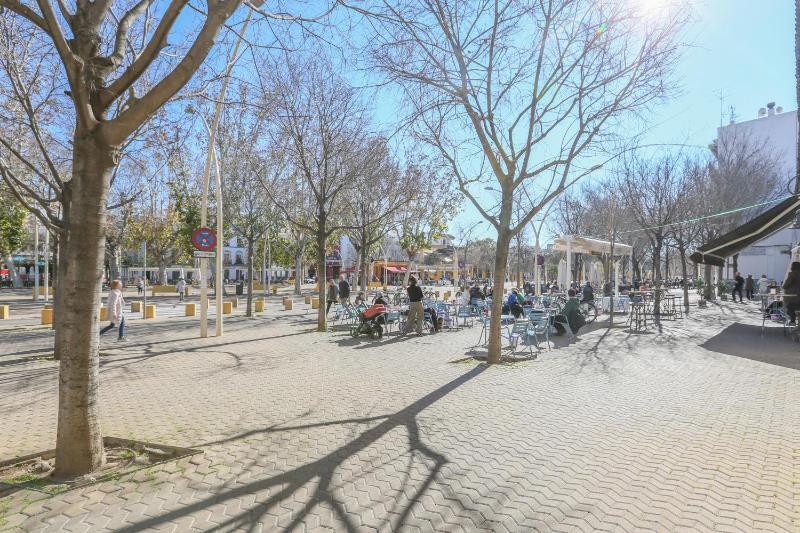 Alameda de Hercules - image 9