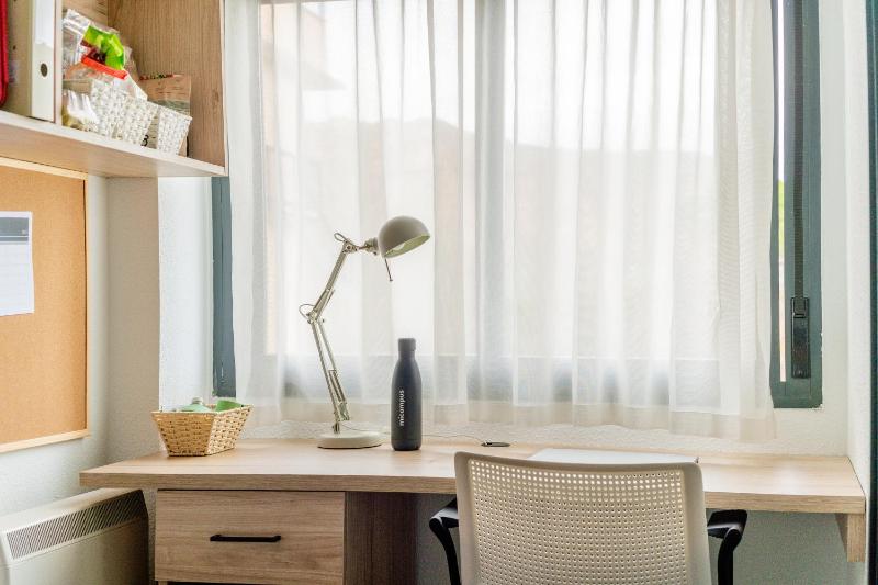 Economy Single Room image 4