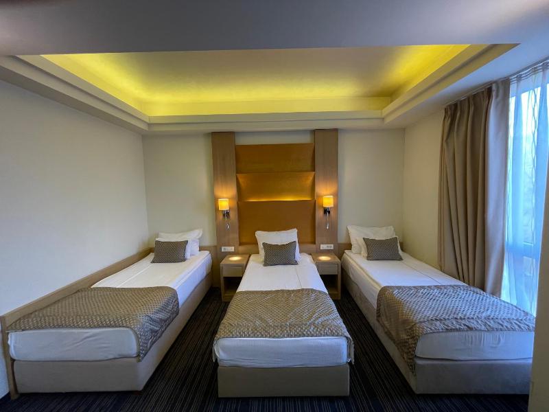 Deluxe Triple Room image 4