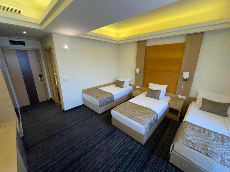 Deluxe Triple Room image 3