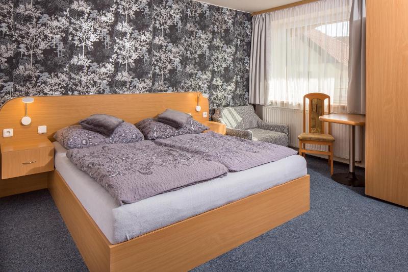 Double or Twin Room image 3