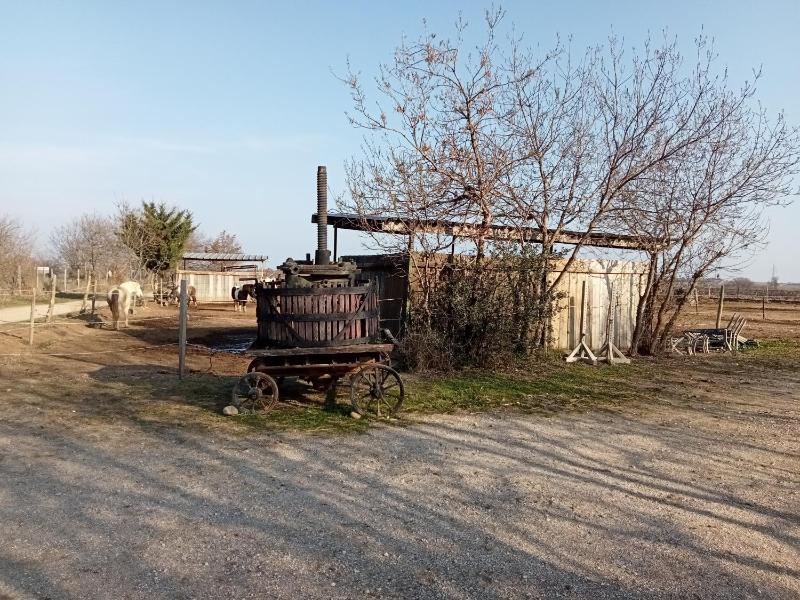 Le Mas Palegry Chambres d'hôtes Perpignan - image 18