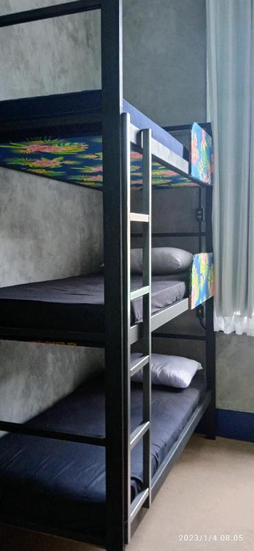 Lapa Casa Hostel - image 13