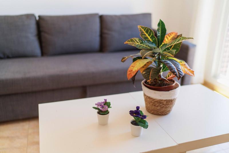 Apartment with Sea View image 3