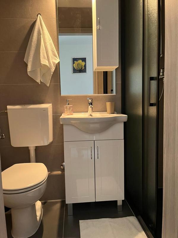 One-Bedroom Apartment image 4