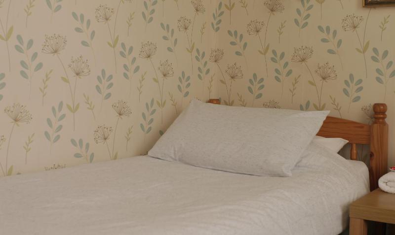 Standard Twin Room image 3