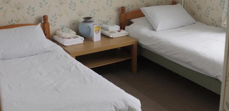 Standard Twin Room image 1