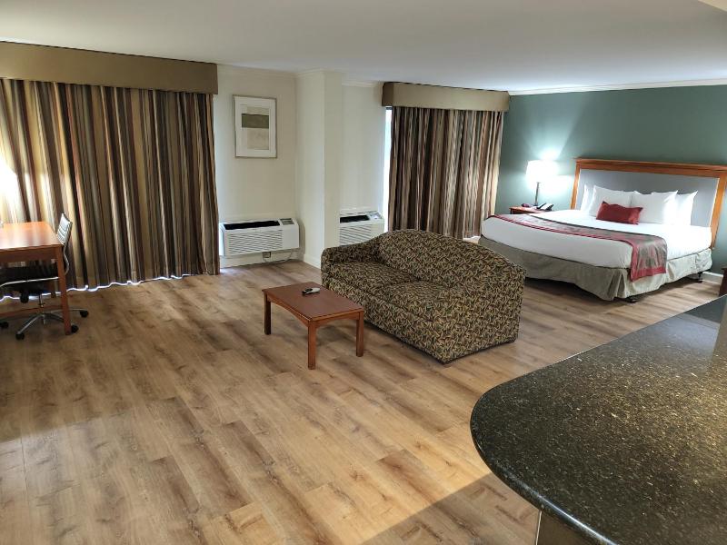 King Suite with Sofa Bed - Non-Smoking image 3