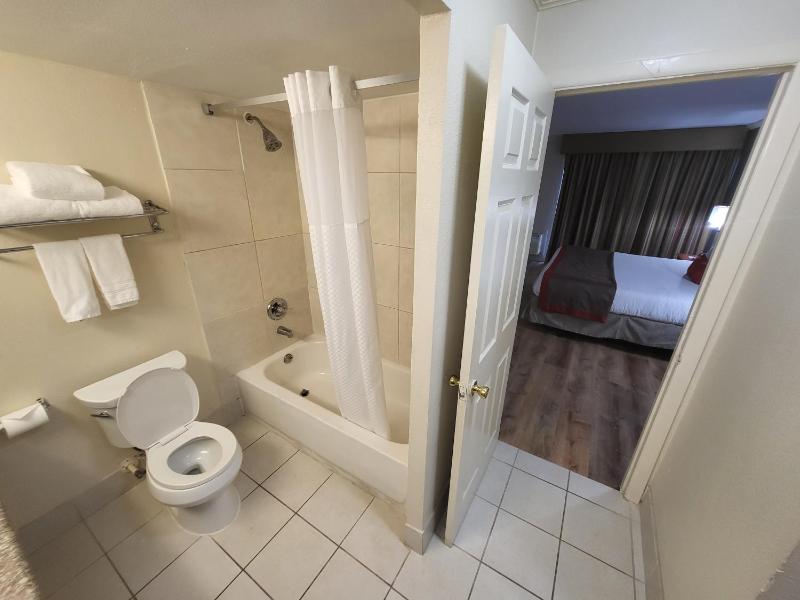 King Suite with Sofa Bed - Non-Smoking image 3