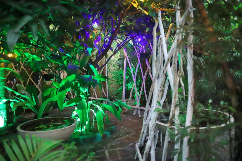 Ruwan Jungle Homestay - image 8