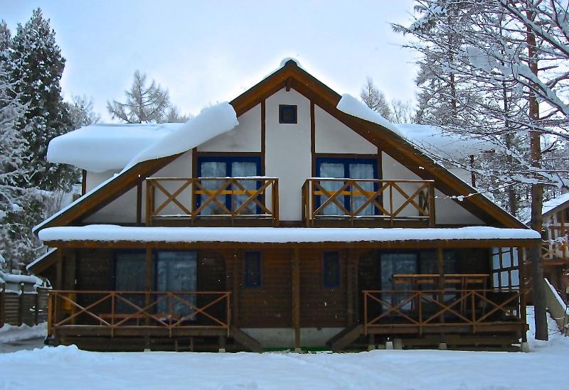 Cottage Hakuba Megeve - image 31