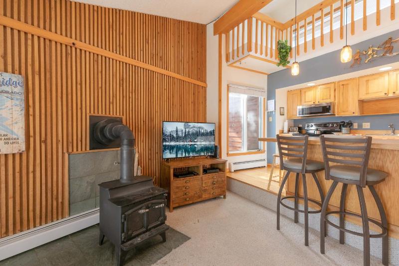 Peak 8 Village Retreat Condo: Great Year-Round Location - image 4