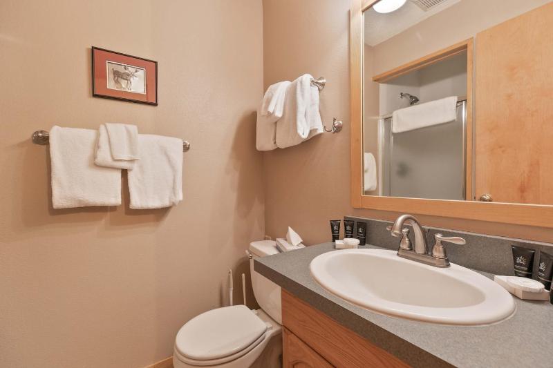 Peak 8 Village Retreat Condo: Great Year-Round Location - image 32