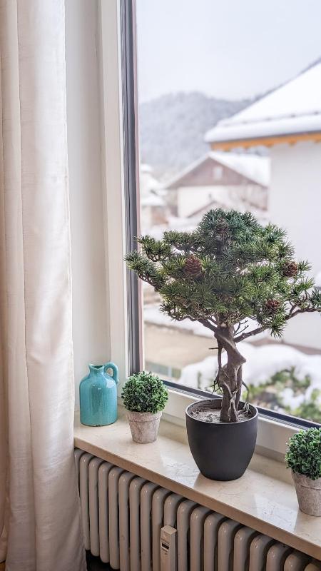 Apartment with Mountain View image 4