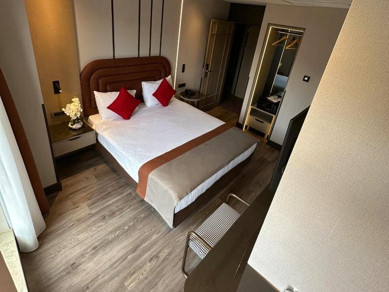 Standard King Room image 4