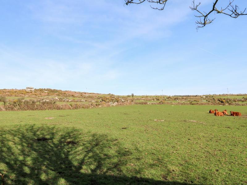 Bosworlas Farm House - image 31