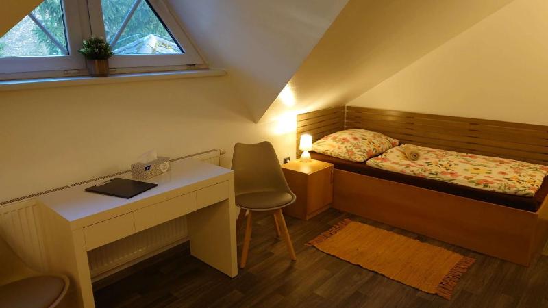 Twin Room with Bathroom image 4