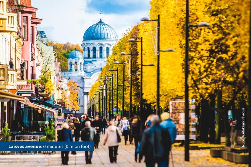 Kaunas City - image 18