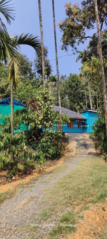 Merbella Homestay - image 4