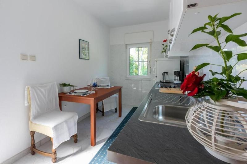 One-Bedroom Apartment with Terrace image 4