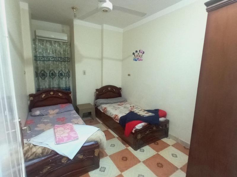 Aswan City Center Guest House - image 2
