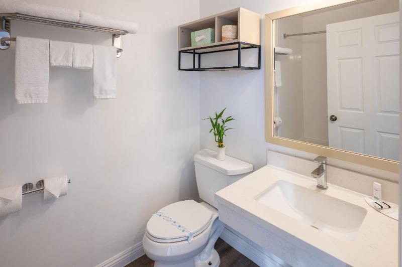 King Studio Suite - Non-Smoking image 2