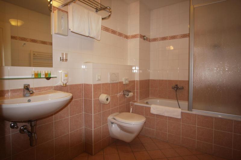 Deluxe Suite image 2