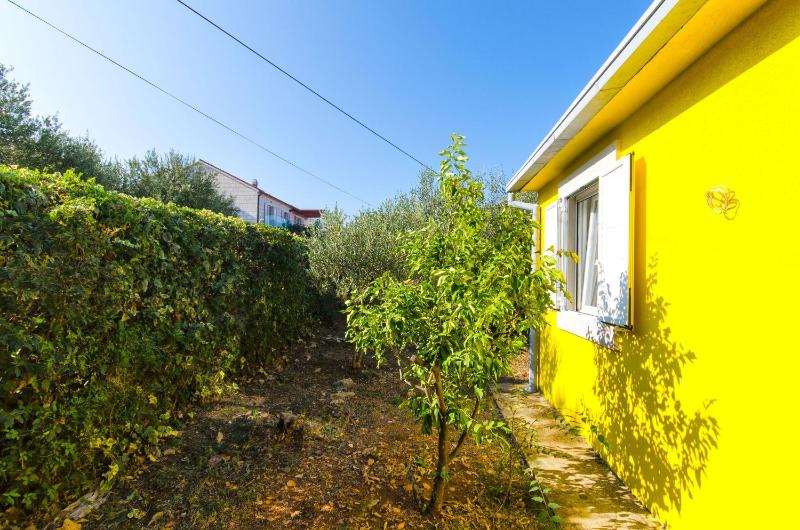 House Bojan - image 21