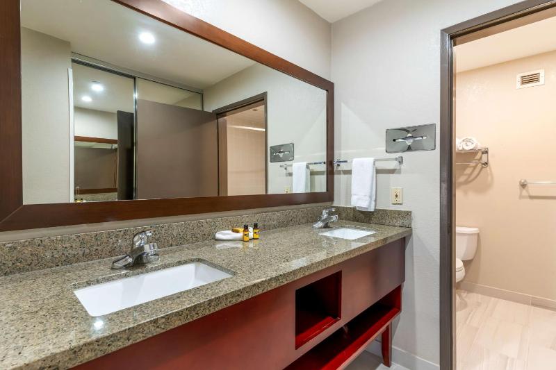 Executive King Room with Sofa Bed and Shower Only image 3