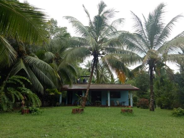 Mangrove villa - Yoga & Ayurveda - image 20