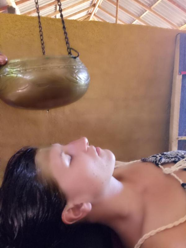Mangrove villa - Yoga & Ayurveda - image 7