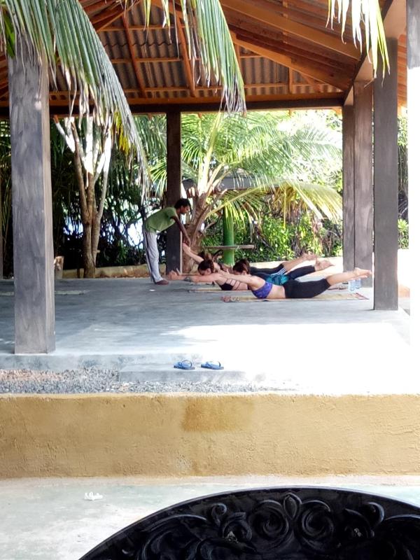 Mangrove villa - Yoga & Ayurveda - image 18