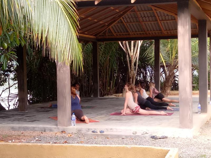 Mangrove villa - Yoga & Ayurveda - image 11