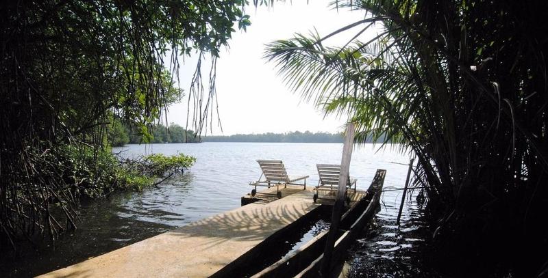Mangrove villa - Yoga & Ayurveda - image 14