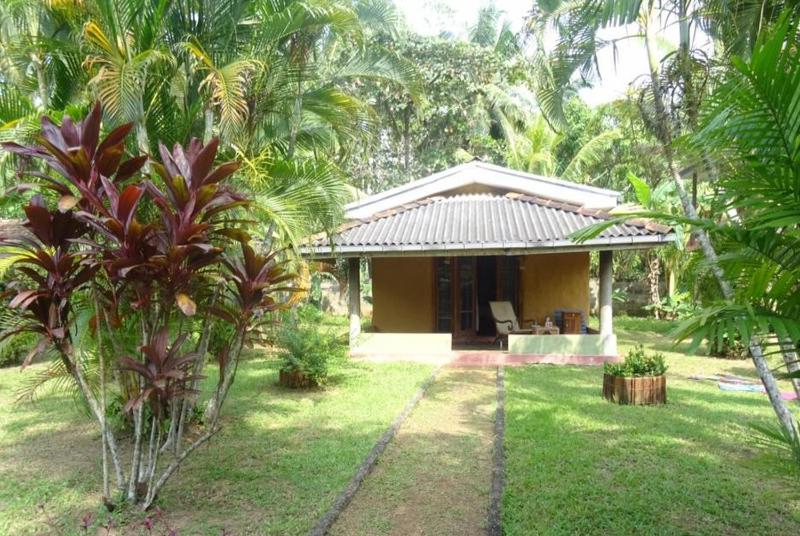 Mangrove villa - Yoga & Ayurveda - image 22