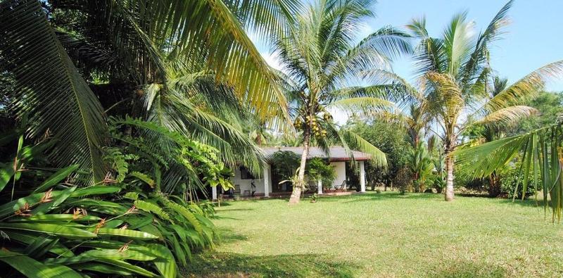 Mangrove villa - Yoga & Ayurveda - image 6