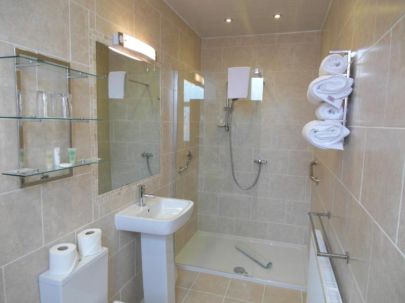 Classic Plus Twin Room image 3