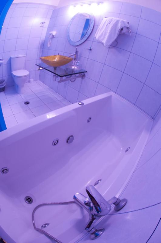 Mini Suite image 3