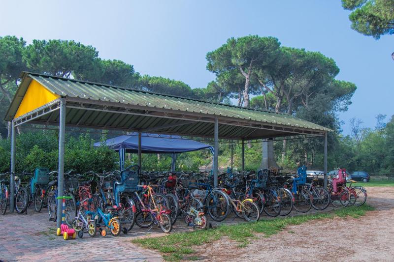 Villa Helen - image 49