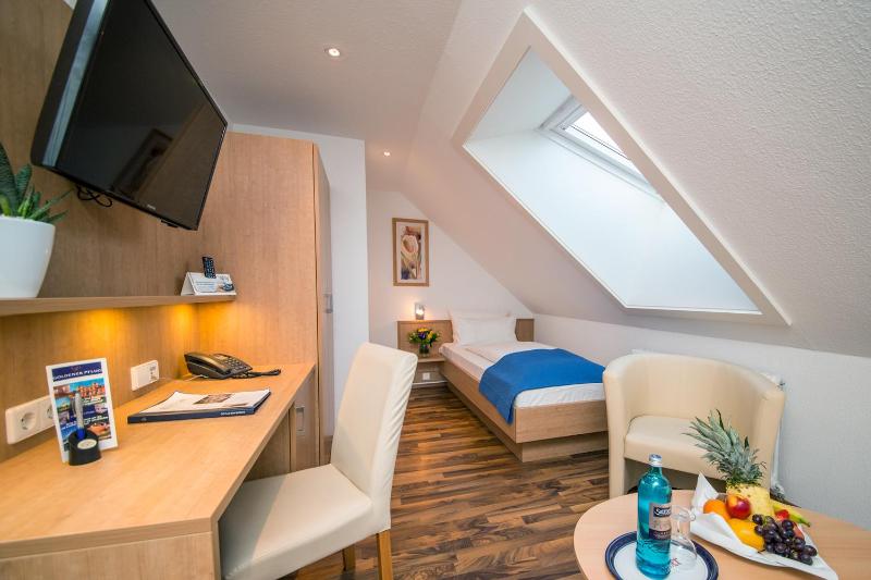 Single Room image 1