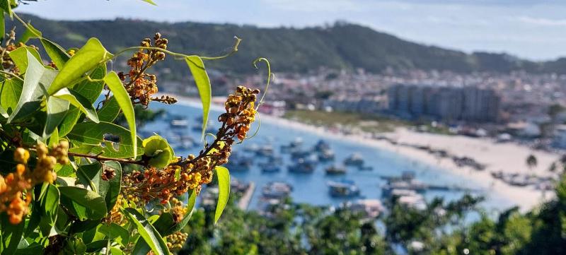 Encantos do mar - image 7
